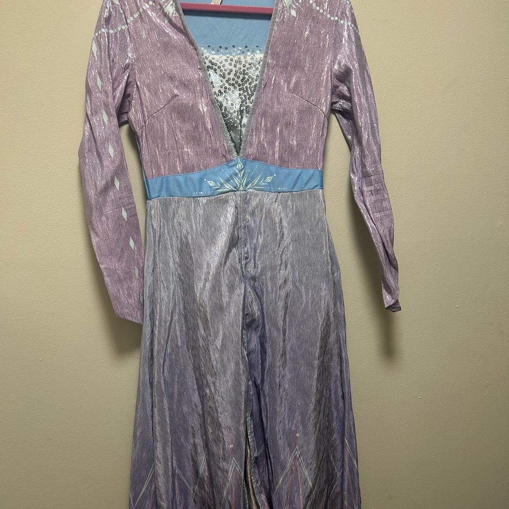Frozen 2 Elsa Costume